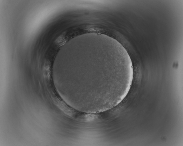 X0000112910762200910051042