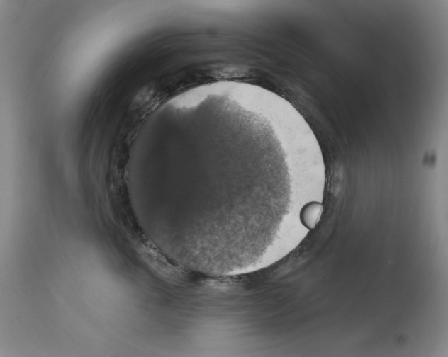X0000112910763200910051042