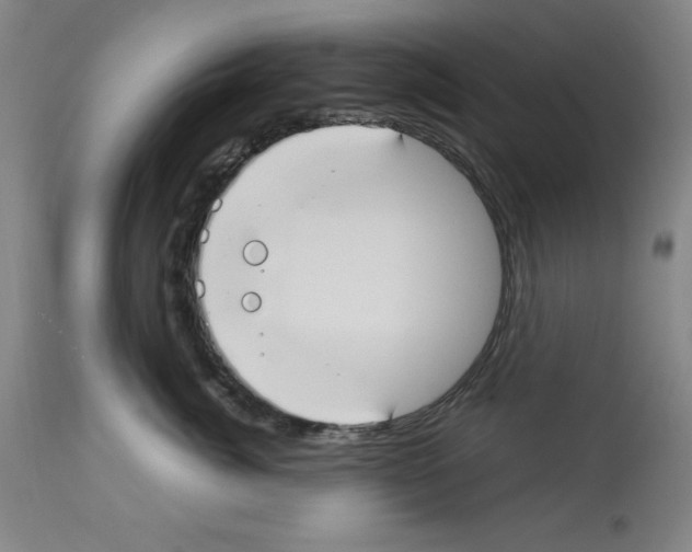 X0000112910764200910051042