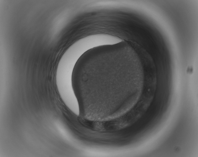 X0000112910766200910051042