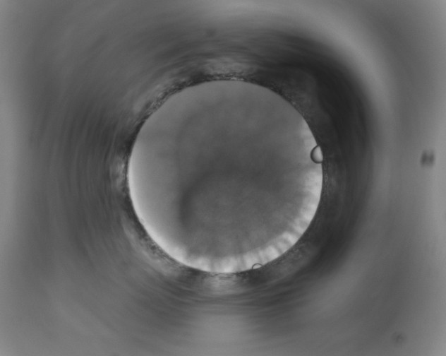 X0000112910767200910051042