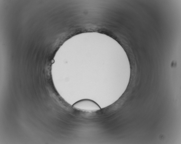 X0000112910768200910051042