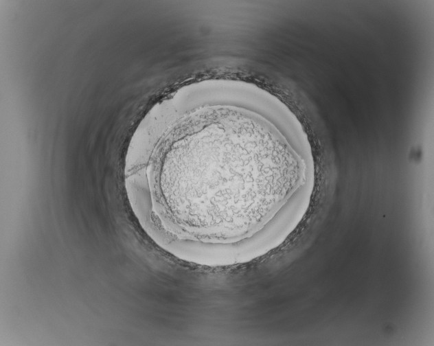 X0000112910769200910051042
