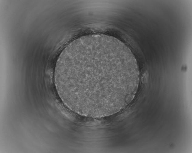X0000112910772200910051042