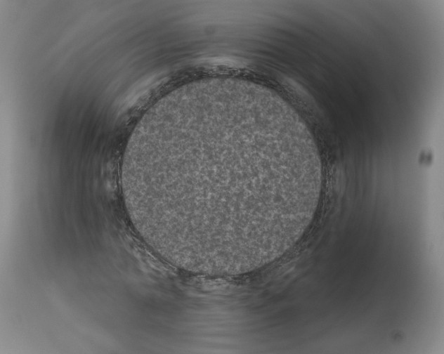 X0000112910774200910051042