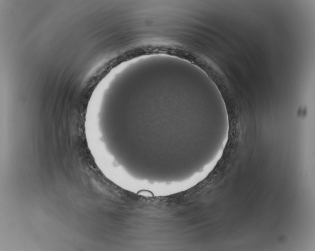 X0000112910775200910051042