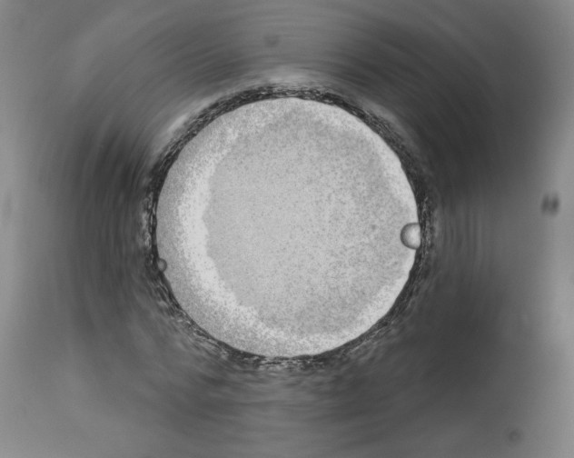 X0000112910776200910051042