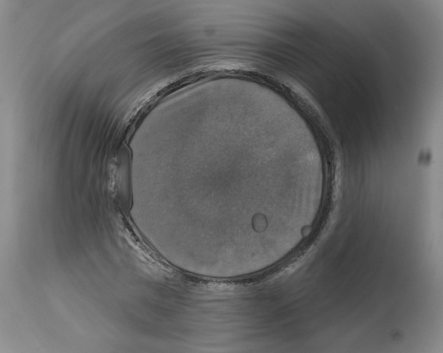 X0000112910777200910051042