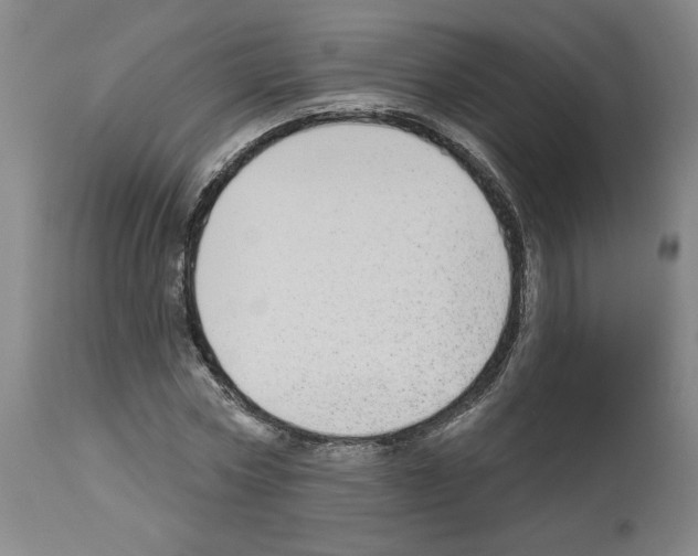 X0000112910778200910051042