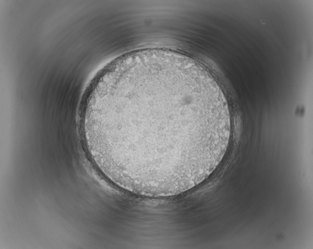 X0000112910780200910051042