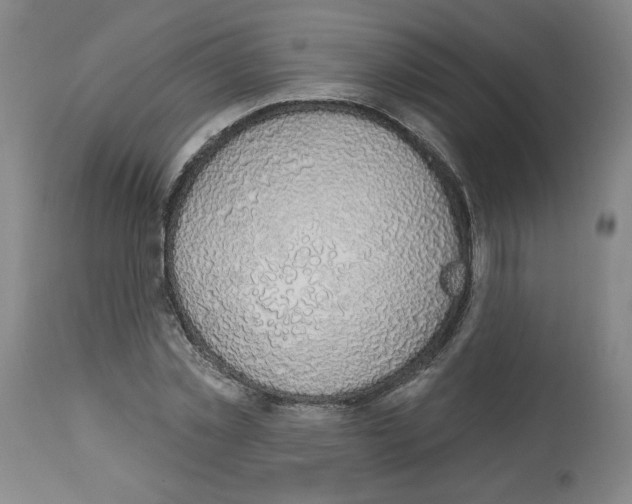 X0000112910781200910051042