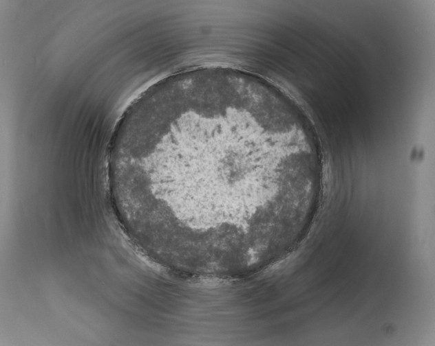 X0000112910782200910051041