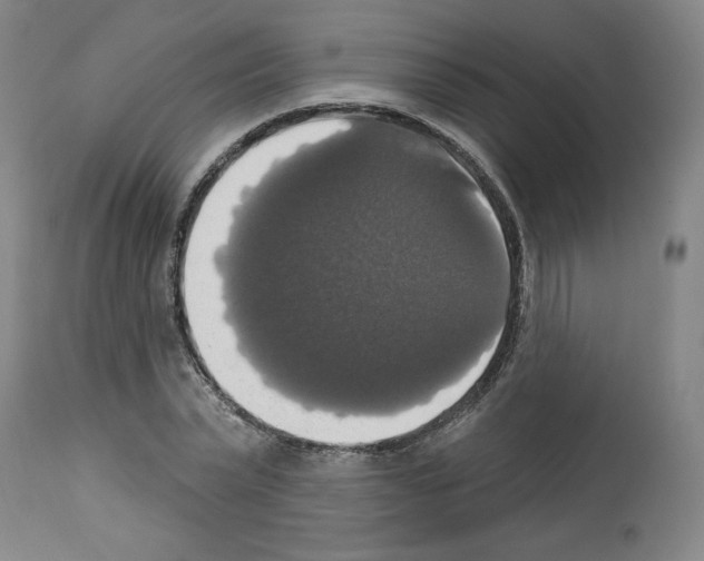 X0000112910783200910051041