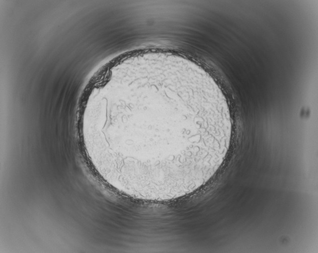X0000112910784200910051041
