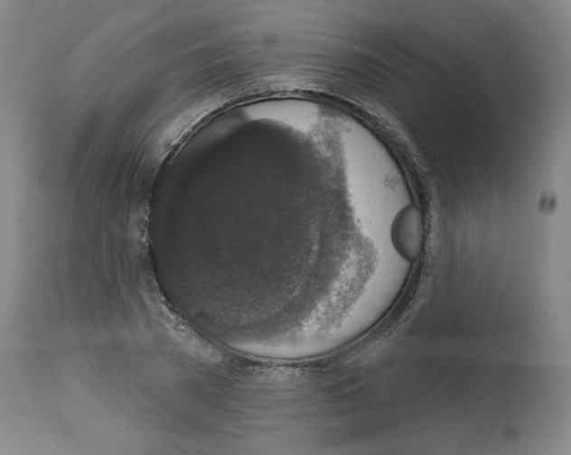 X0000112910785200910051041
