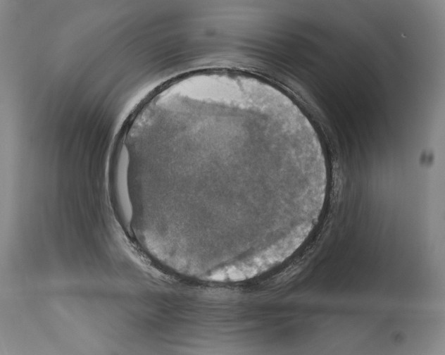 X0000112910788200910051041