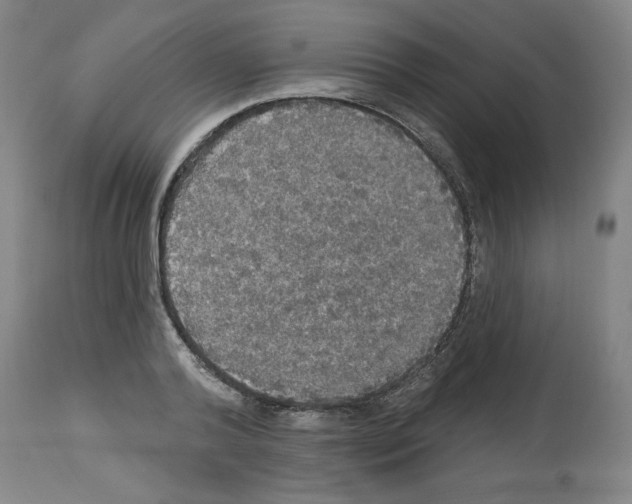 X0000112910792200910051041