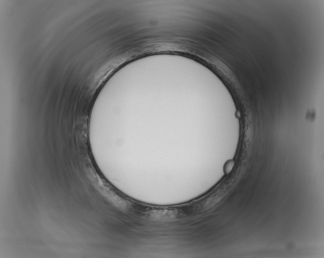 X0000112910793200910051041