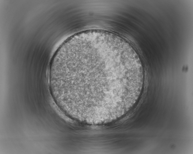 X0000112910796200910051041