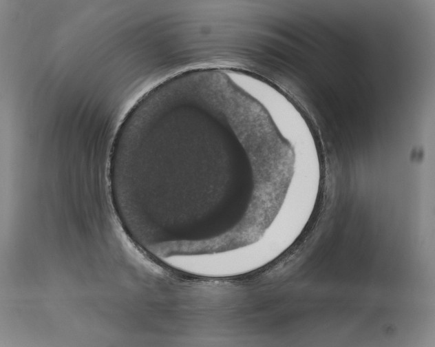 X0000112910797200910051041