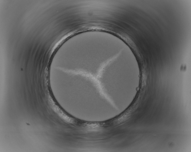 X0000112910798200910051041