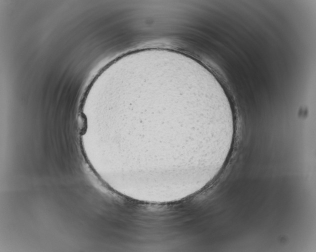 X0000112910800200910051041