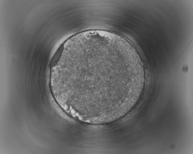X0000112910804200910051041