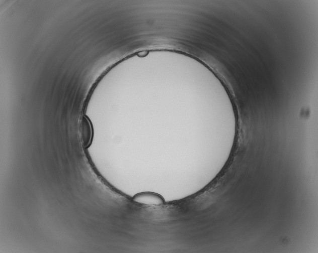 X0000112910805200910051041