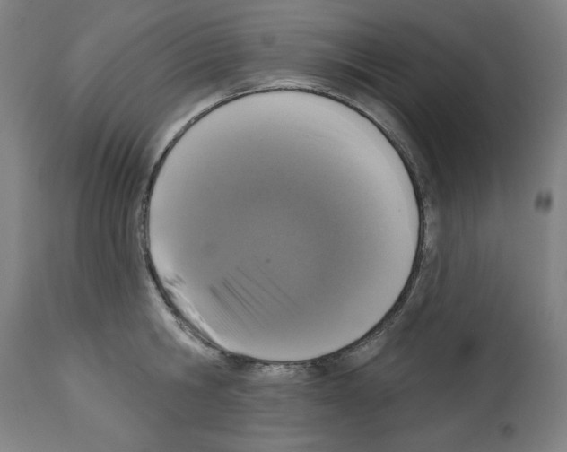 X0000112910806200910051041