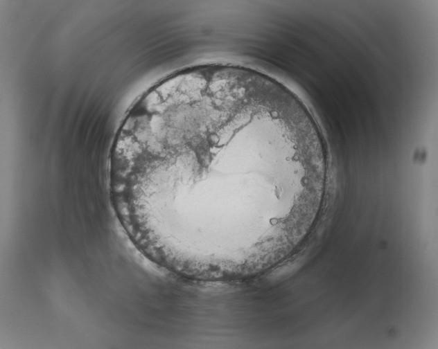 X0000112910807200910051041