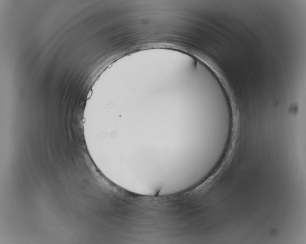 X0000112910809200910051041