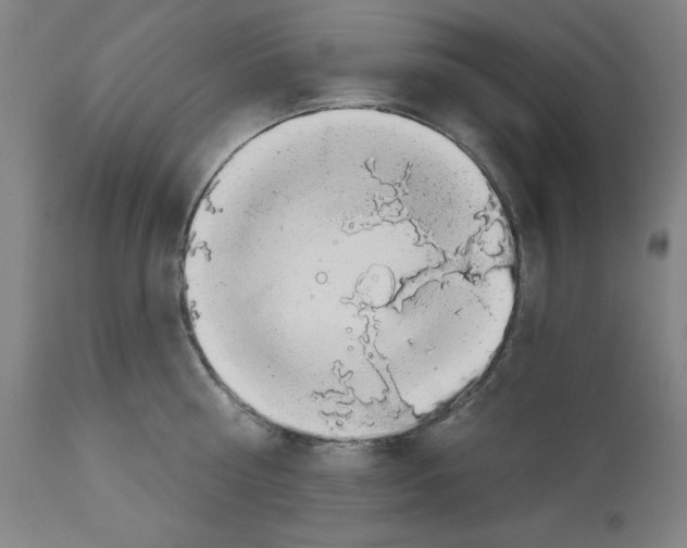X0000112910810200910051041