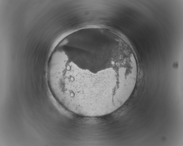 X0000112910811200910051041
