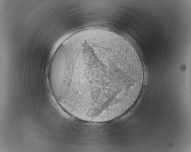X0000112910812200910051041