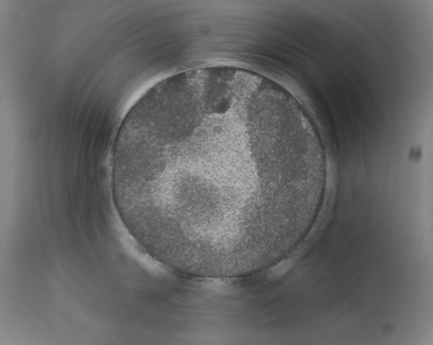 X0000112910814200910051041