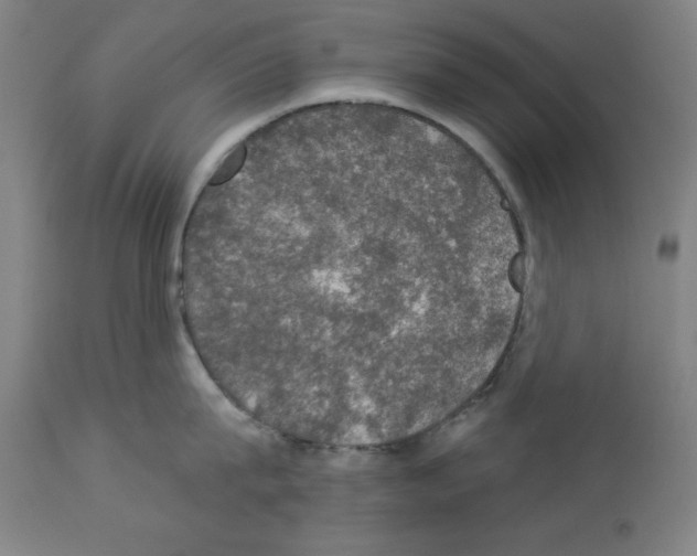 X0000112910815200910051041