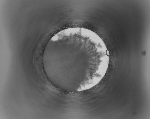 X0000112910817200910051040
