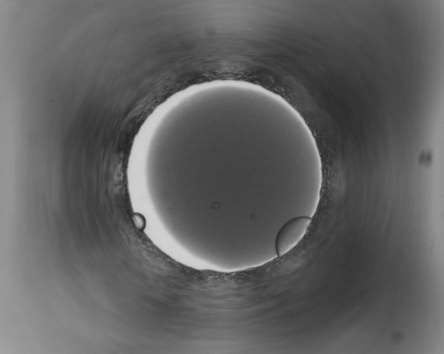 X0000112910818200910051040