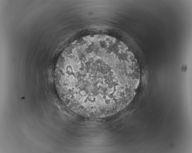X0000112910819200910051040