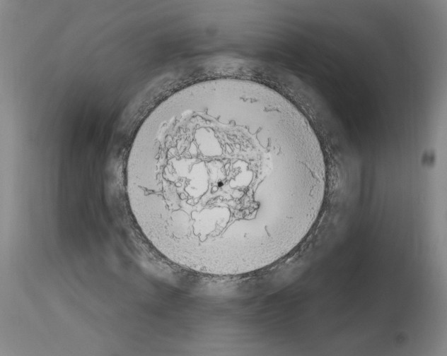 X0000112910820200910051040