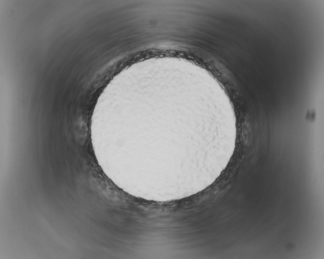 X0000112910821200910051040