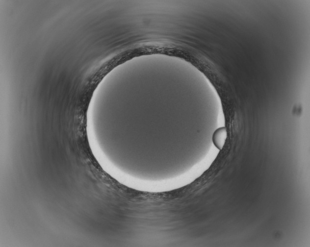 X0000112910822200910051040