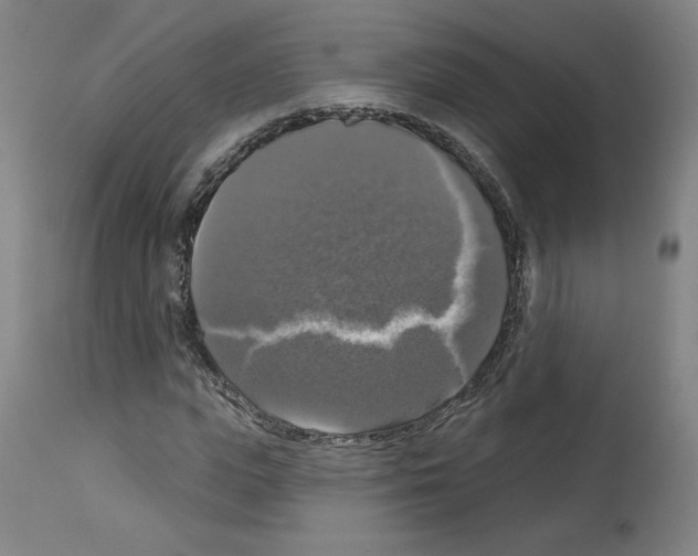 X0000112910823200910051040