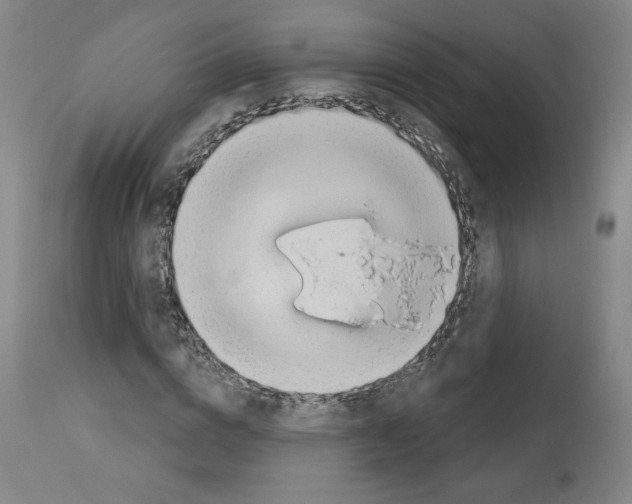 X0000112910824200910051040