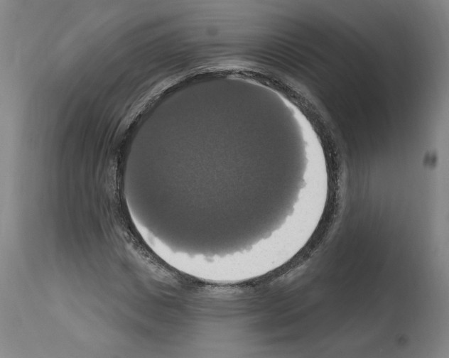 X0000112910825200910051040