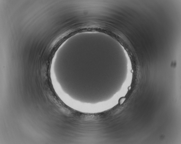 X0000112910826200910051040