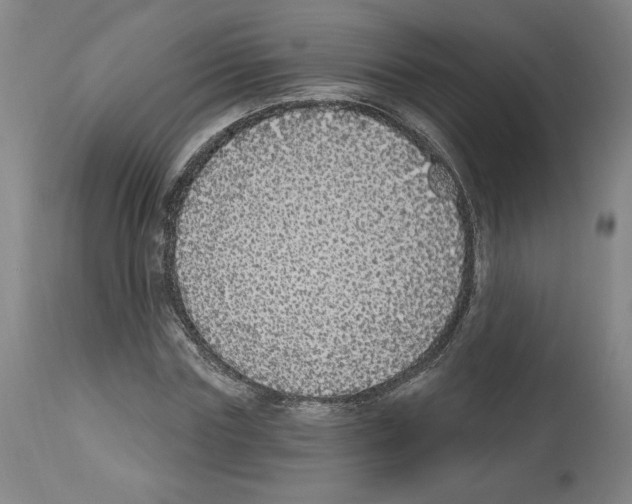X0000112910827200910051040