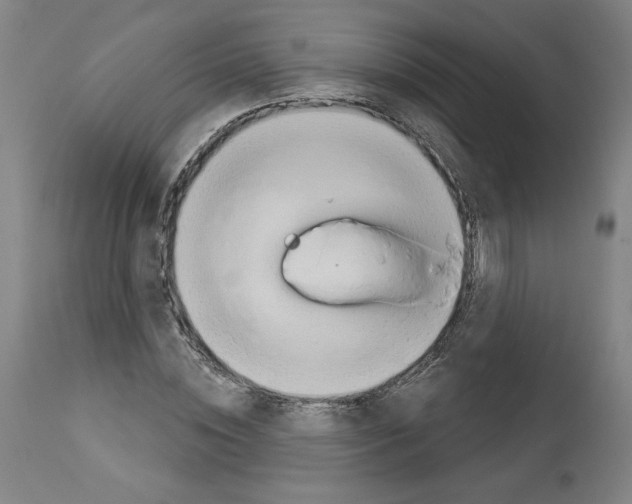 X0000112910828200910051040
