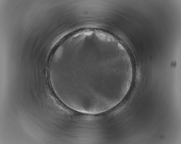 X0000112910829200910051040