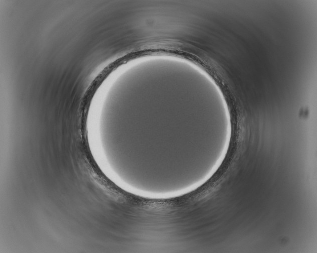 X0000112910830200910051040